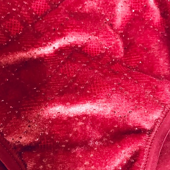 Limited Discontinued Sparkle Velvet Hiphuggers - Picture 4 of 6